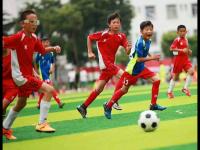曼城vs马德里竞技直播_曼城vs马德里竞技免费直播_曼城vs马德里竞技直播免费在线观看高清视频直播-24直播网